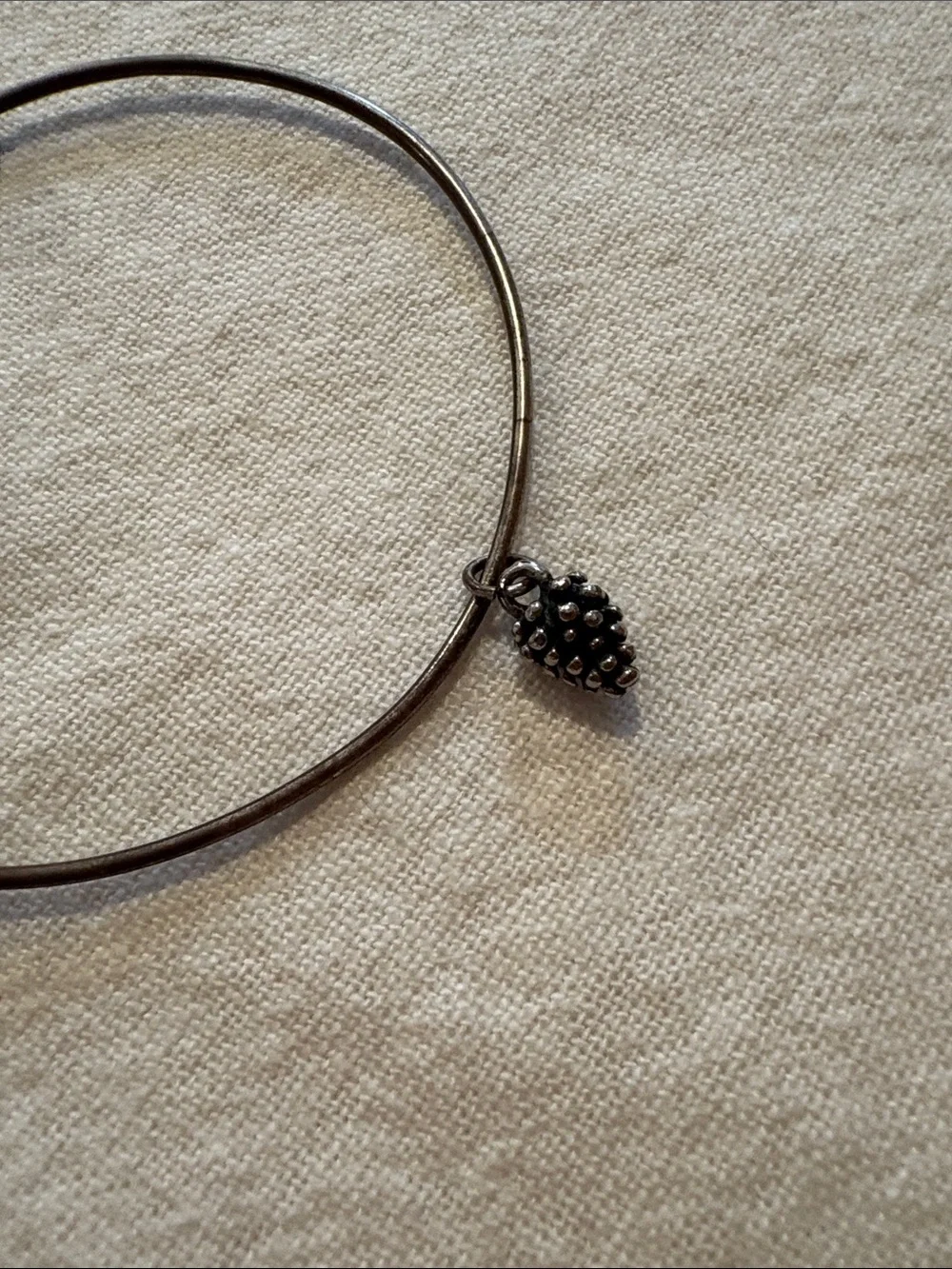 Alex and Ani Maine Charm Bracelet